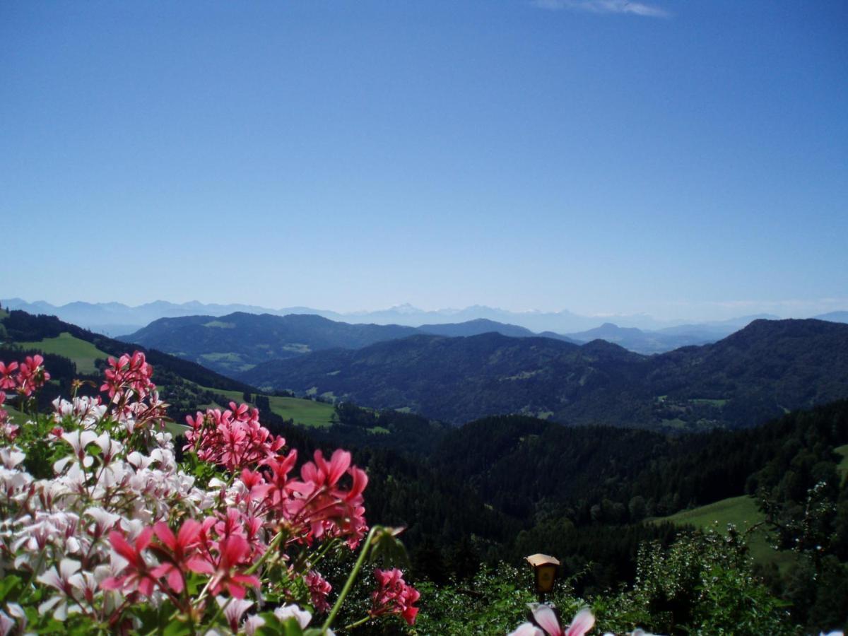 Gasthof Gutmann Eberstein Rum bild